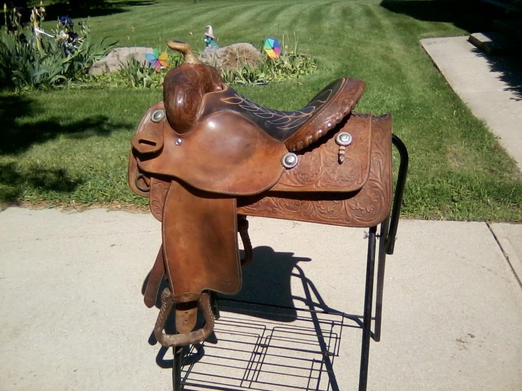 blackburn saddle